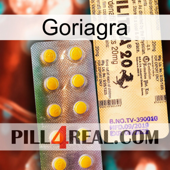 Goriagra new06.jpg